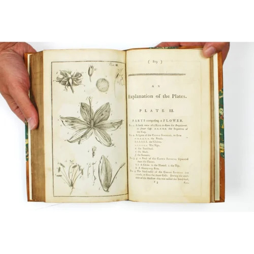 First Linnaean Taxonomy in English - Image 5