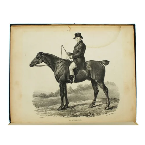 Early English Horse Racing - Image 4