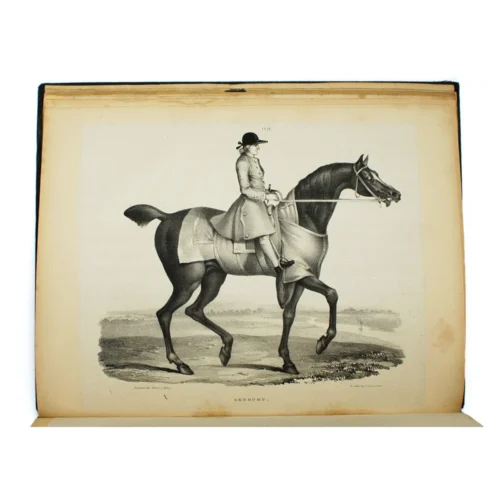 Early English Horse Racing - Image 5