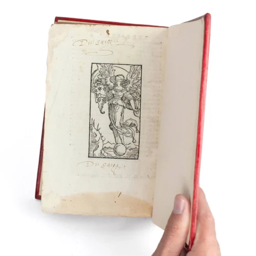 One of the Earliest Monographs on Fish - Image 2