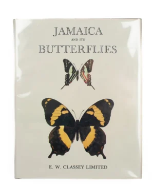 Jamaican Butterflies