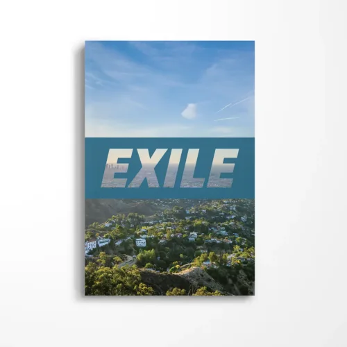 Cover of catalogue showing exterior landscape from behind the hollywood sign, overlayed with the word "exile"