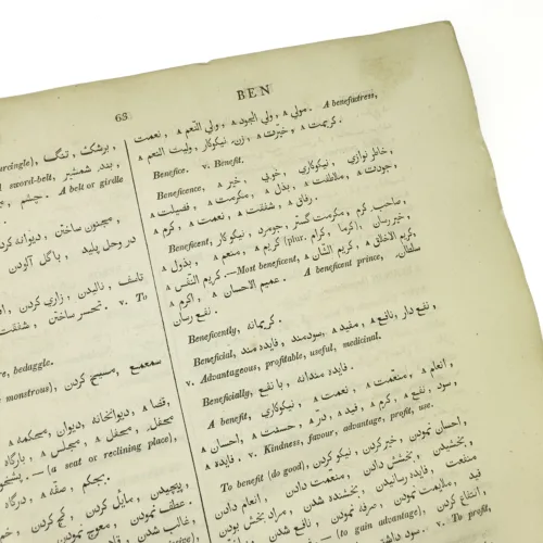 Richardson persian arabic english dictionary 8 jpg