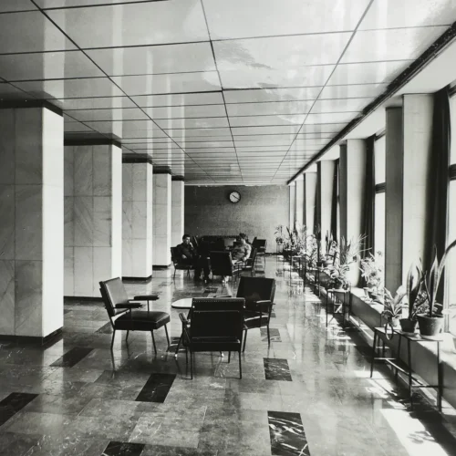 Health Care in Communist Hungary