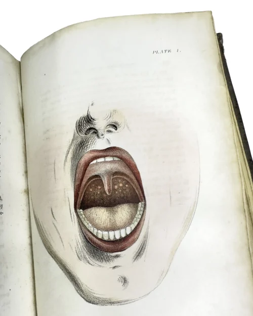 The Father of Laryngology in America - Image 6
