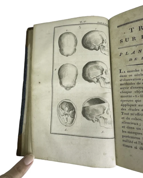 A Foundation Text of Modern Psychiatry - Image 4