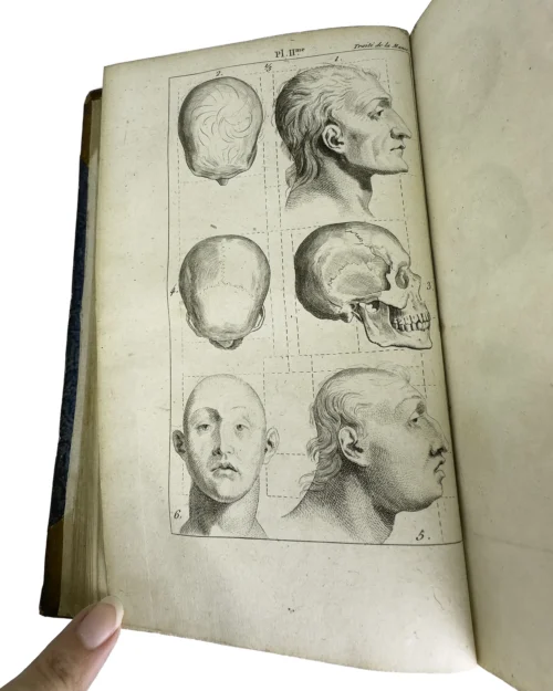 A Foundation Text of Modern Psychiatry - Image 5