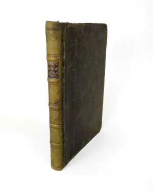 Commentary on Diseases from the Bible