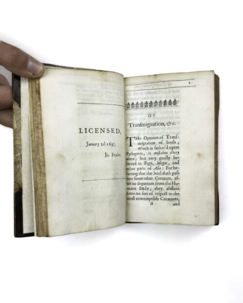 Occult & the Soul of a Vegetable - Image 3