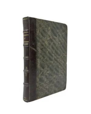 Early History of Language in English