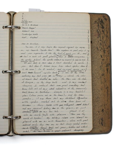 Archive of a Spider Man - Image 7