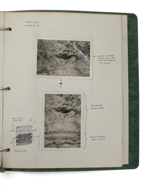 Archive of a Spider Man - Image 9