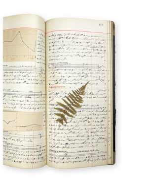 Mystery Diary