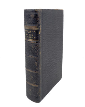 Erasmus In Praise of Folly