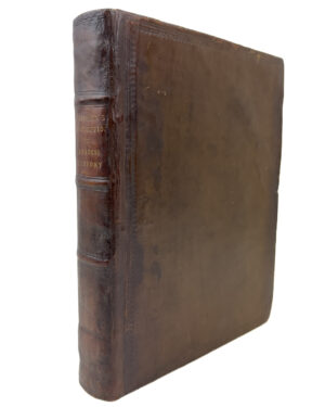 Kings of Judah and Luxurious Sodomites