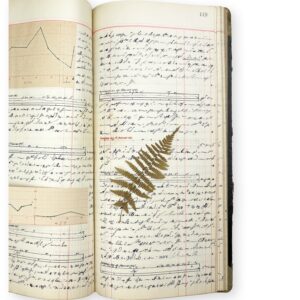 Mystery Diary
