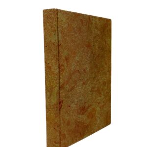 Neo-Latin Poems