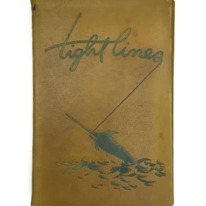 Fighting Swordfish